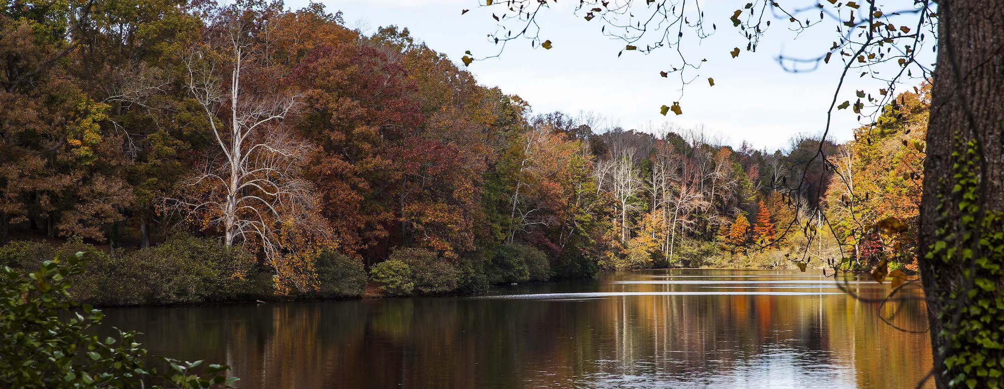 Fall In Love With Autumn in Spartanburg