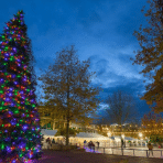 Your Guide to Spartanburg’s 2022 Holiday Events