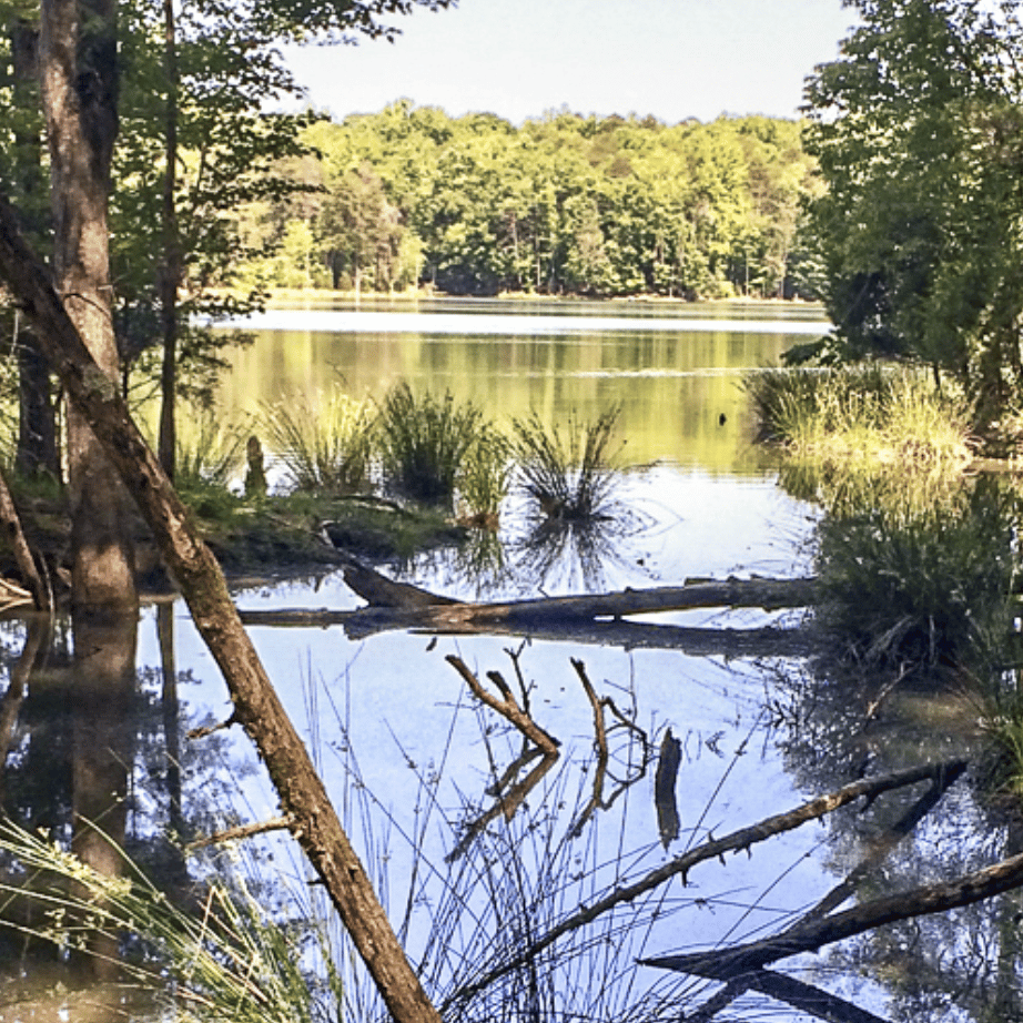 Lake Edwin Johnson